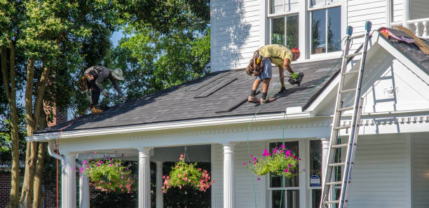 Professional Roofing Contractor in Moville, IA