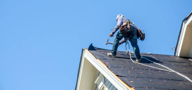 Best Storm Damage Roof Repair  in Moville, IA